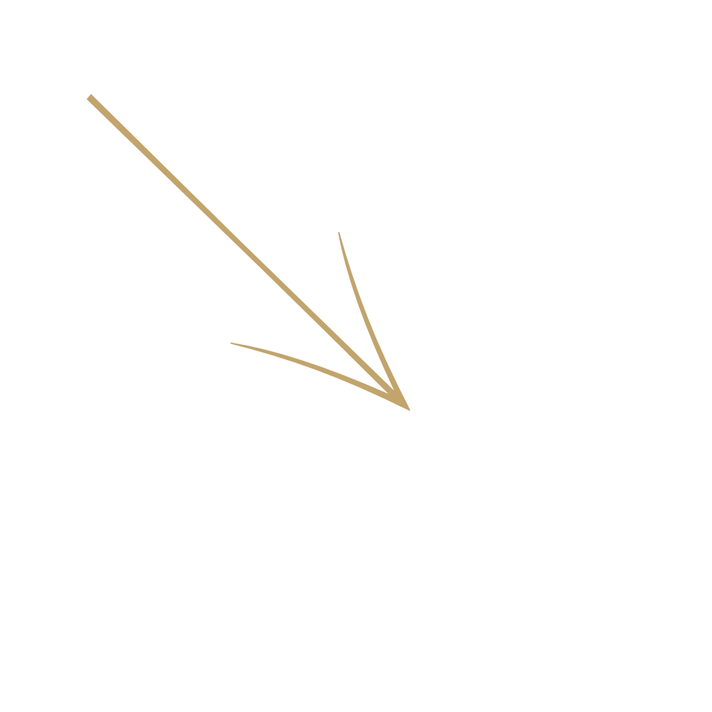 Golden arrow icon pointing downward and to the right