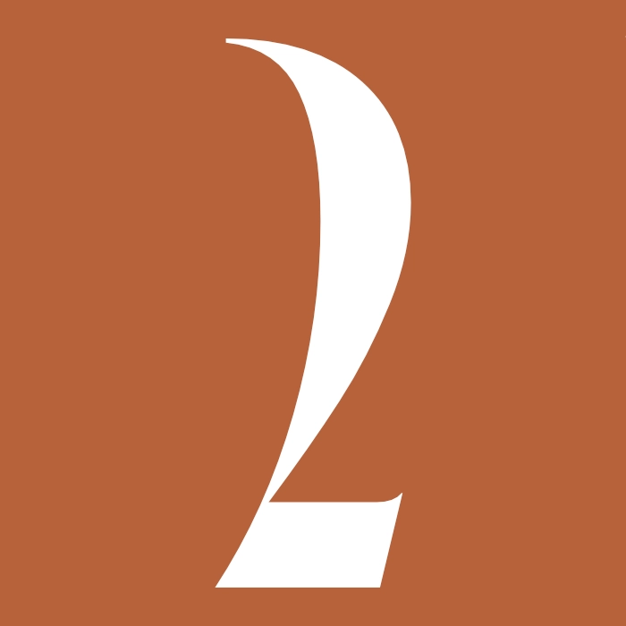 Stylized white number 2 on a burnt orange background